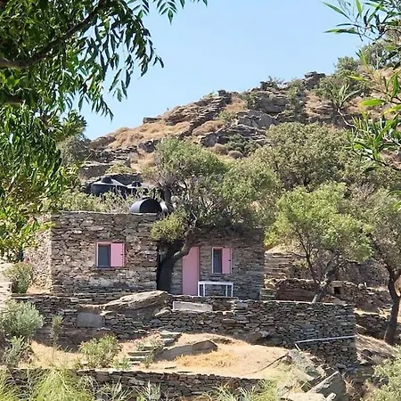 Owl's Nest/the Pink * Otziás