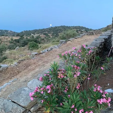 Owl's Nest/the Pink *