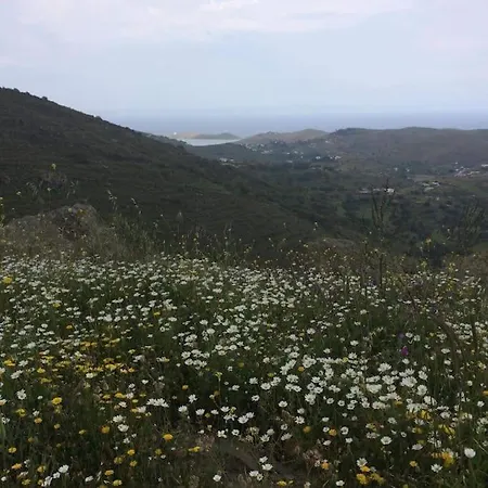 Hébergement de vacances Owl's Nest/the Pink