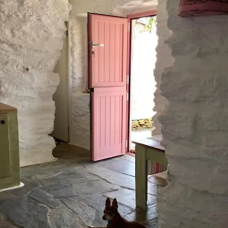Owl's Nest/the Pink * Otziás