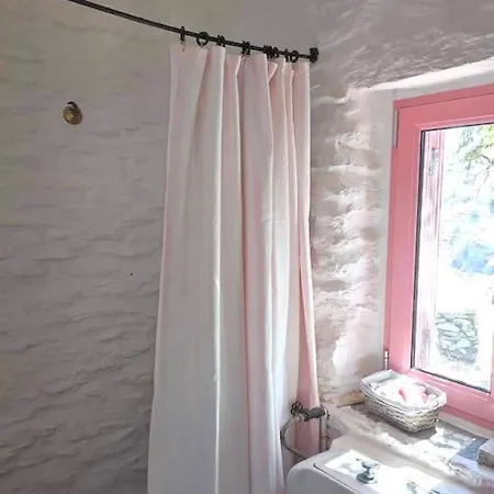 Owl's Nest/the Pink